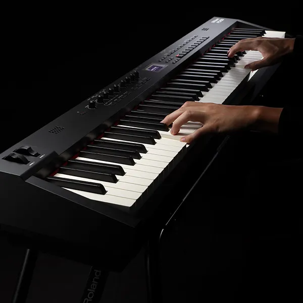 Music City – Tổng Kho Piano, Guitar, Organ | Dịch Vụ Giáo Dục Âm Nhạc