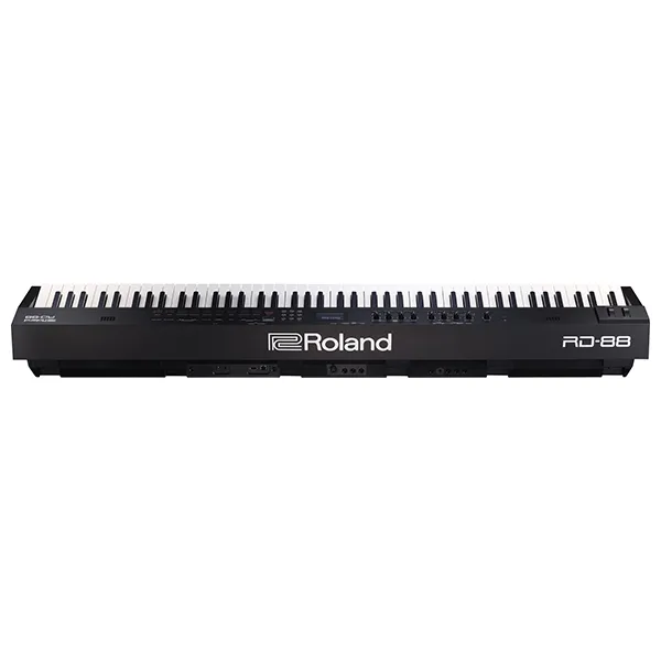Music City – Tổng Kho Piano, Guitar, Organ | Dịch Vụ Giáo Dục Âm Nhạc