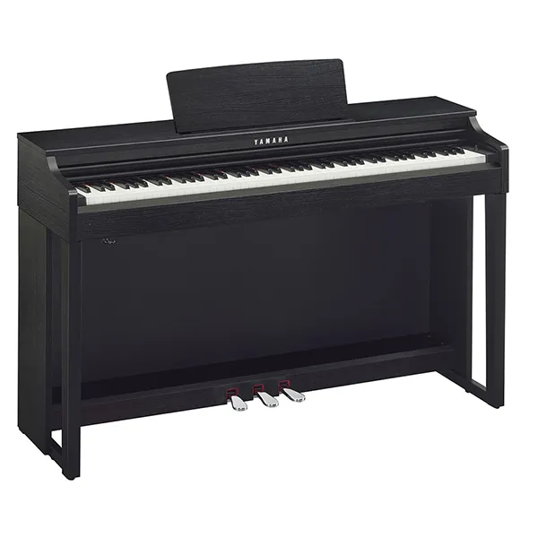 Music City – Tổng Kho Piano, Guitar, Organ | Dịch Vụ Giáo Dục Âm Nhạc