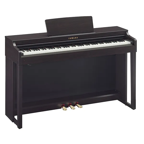 Music City – Tổng Kho Piano, Guitar, Organ | Dịch Vụ Giáo Dục Âm Nhạc
