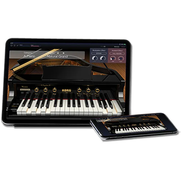 Music City – Tổng Kho Piano, Guitar, Organ | Dịch Vụ Giáo Dục Âm Nhạc