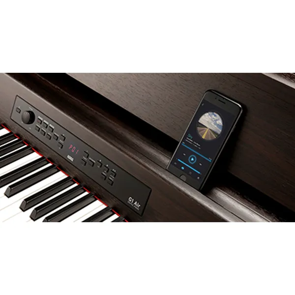 Music City – Tổng Kho Piano, Guitar, Organ | Dịch Vụ Giáo Dục Âm Nhạc