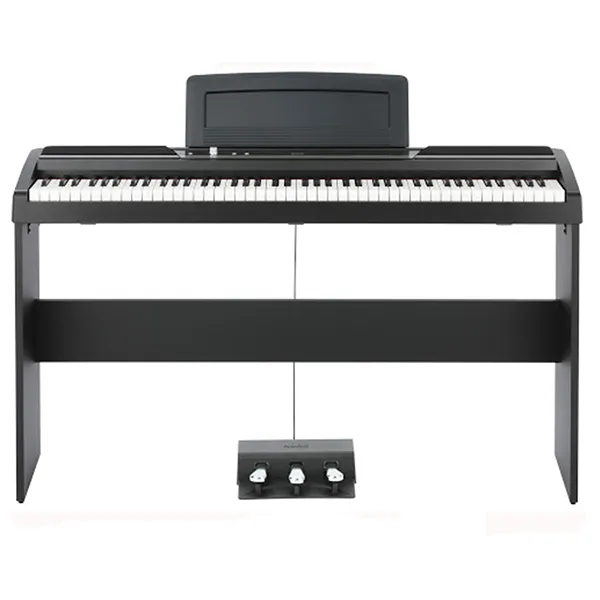 Music City – Tổng Kho Piano, Guitar, Organ | Dịch Vụ Giáo Dục Âm Nhạc