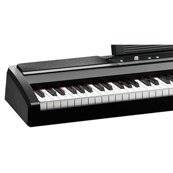 Music City – Tổng Kho Piano, Guitar, Organ | Dịch Vụ Giáo Dục Âm Nhạc