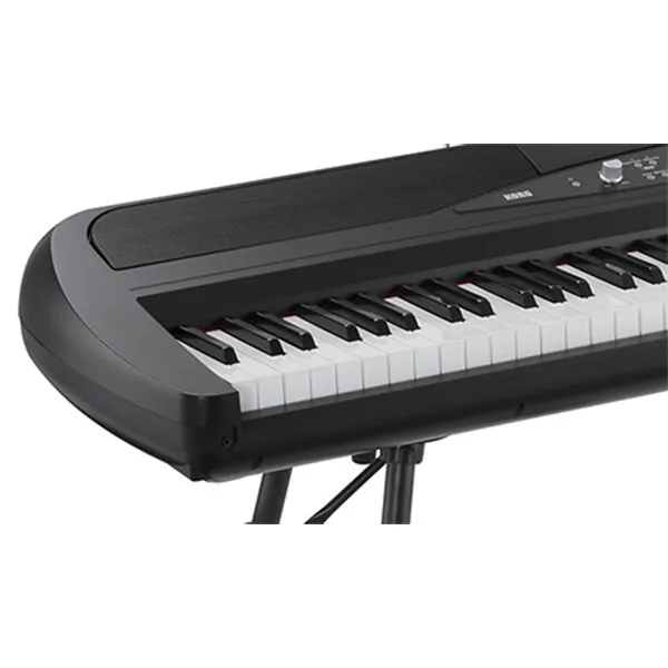 Music City – Tổng Kho Piano, Guitar, Organ | Dịch Vụ Giáo Dục Âm Nhạc