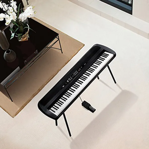 Music City – Tổng Kho Piano, Guitar, Organ | Dịch Vụ Giáo Dục Âm Nhạc