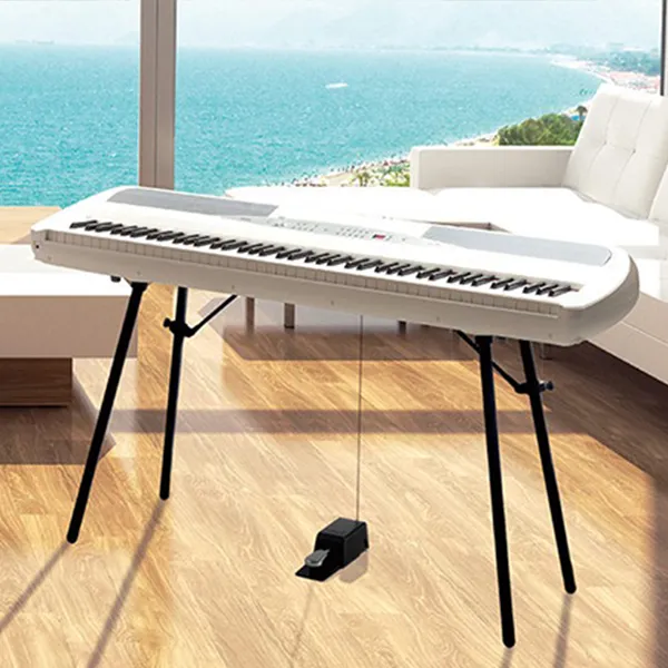 Music City – Tổng Kho Piano, Guitar, Organ | Dịch Vụ Giáo Dục Âm Nhạc