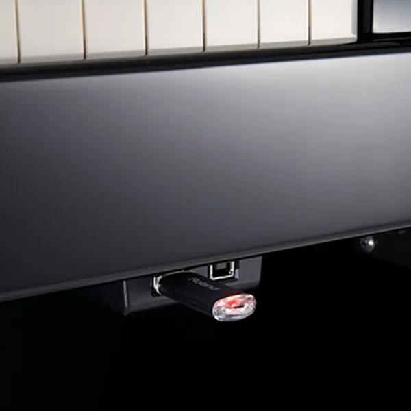 Music City – Tổng Kho Piano, Guitar, Organ | Dịch Vụ Giáo Dục Âm Nhạc