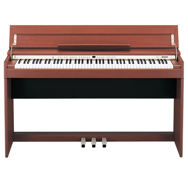 Music City – Tổng Kho Piano, Guitar, Organ | Dịch Vụ Giáo Dục Âm Nhạc