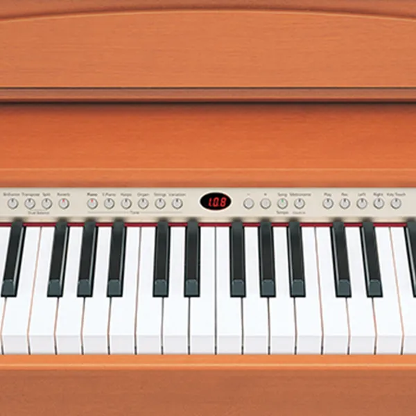 Music City – Tổng Kho Piano, Guitar, Organ | Dịch Vụ Giáo Dục Âm Nhạc