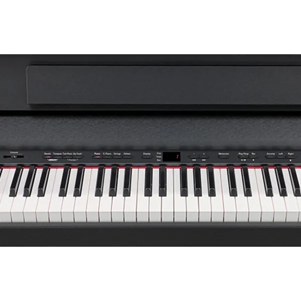 Music City – Tổng Kho Piano, Guitar, Organ | Dịch Vụ Giáo Dục Âm Nhạc