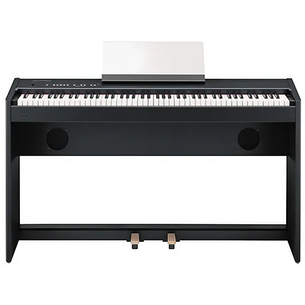 Music City – Tổng Kho Piano, Guitar, Organ | Dịch Vụ Giáo Dục Âm Nhạc