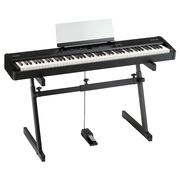 Music City – Tổng Kho Piano, Guitar, Organ | Dịch Vụ Giáo Dục Âm Nhạc