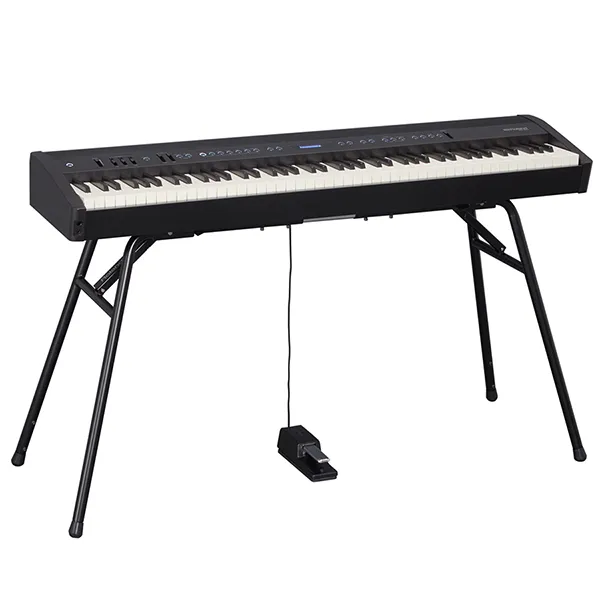 Music City – Tổng Kho Piano, Guitar, Organ | Dịch Vụ Giáo Dục Âm Nhạc