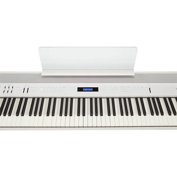 Music City – Tổng Kho Piano, Guitar, Organ | Dịch Vụ Giáo Dục Âm Nhạc