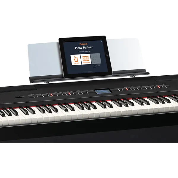 Music City – Tổng Kho Piano, Guitar, Organ | Dịch Vụ Giáo Dục Âm Nhạc
