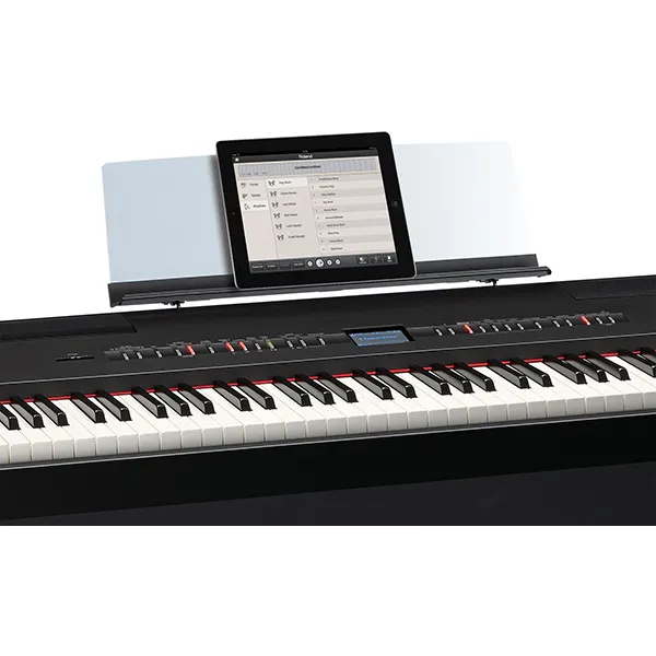 Music City – Tổng Kho Piano, Guitar, Organ | Dịch Vụ Giáo Dục Âm Nhạc