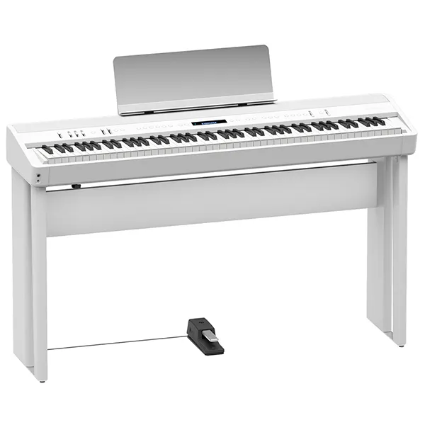 Music City – Tổng Kho Piano, Guitar, Organ | Dịch Vụ Giáo Dục Âm Nhạc