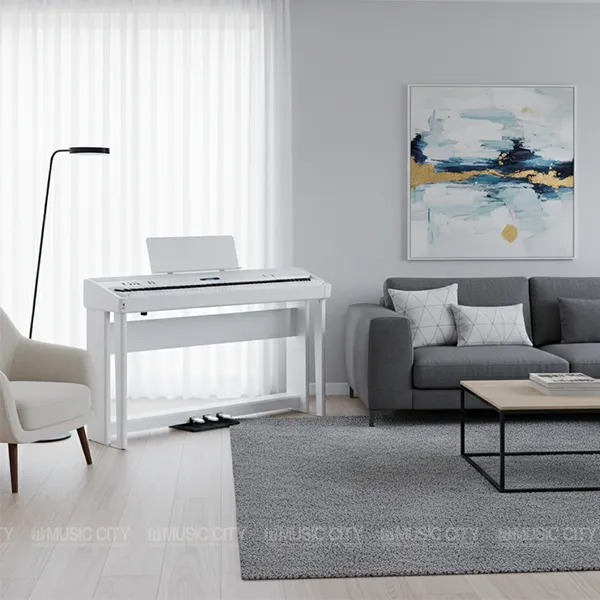 Music City – Tổng Kho Piano, Guitar, Organ | Dịch Vụ Giáo Dục Âm Nhạc