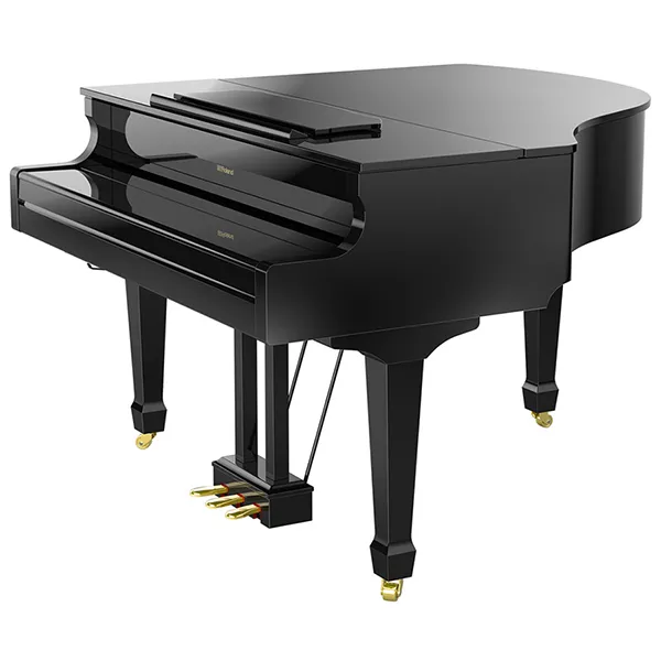 Music City – Tổng Kho Piano, Guitar, Organ | Dịch Vụ Giáo Dục Âm Nhạc