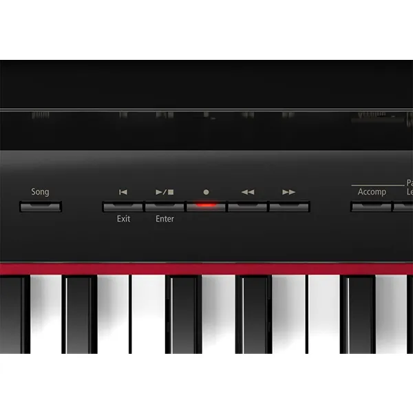 Music City – Tổng Kho Piano, Guitar, Organ | Dịch Vụ Giáo Dục Âm Nhạc