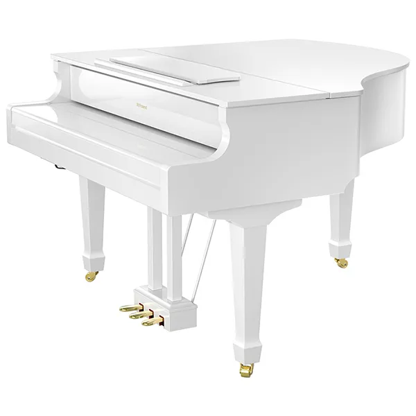 Music City – Tổng Kho Piano, Guitar, Organ | Dịch Vụ Giáo Dục Âm Nhạc