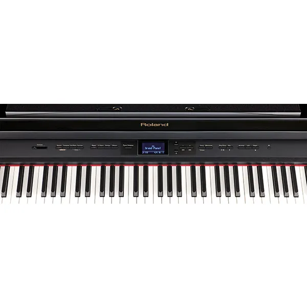 Music City – Tổng Kho Piano, Guitar, Organ | Dịch Vụ Giáo Dục Âm Nhạc