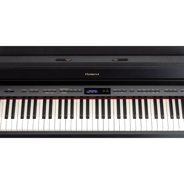 Music City – Tổng Kho Piano, Guitar, Organ | Dịch Vụ Giáo Dục Âm Nhạc