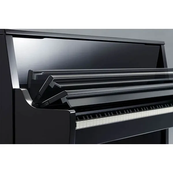 Music City – Tổng Kho Piano, Guitar, Organ | Dịch Vụ Giáo Dục Âm Nhạc