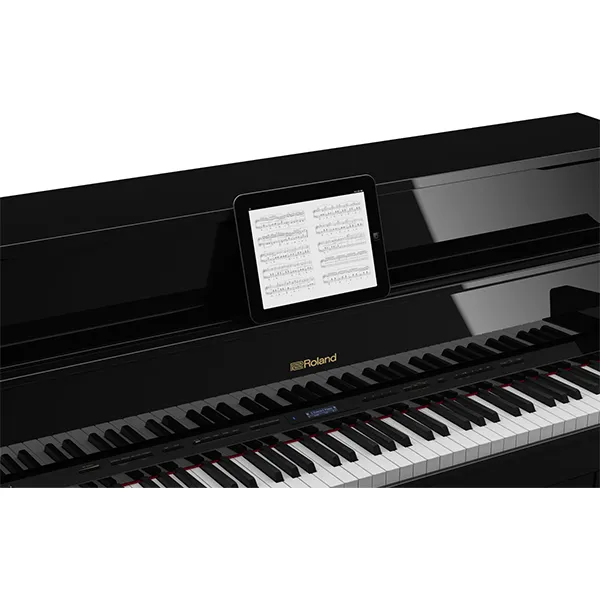 Music City – Tổng Kho Piano, Guitar, Organ | Dịch Vụ Giáo Dục Âm Nhạc