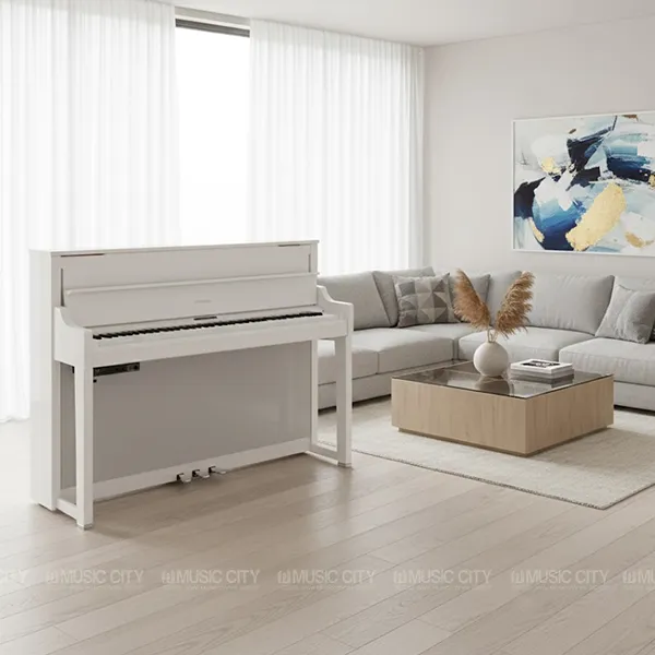 Music City – Tổng Kho Piano, Guitar, Organ | Dịch Vụ Giáo Dục Âm Nhạc