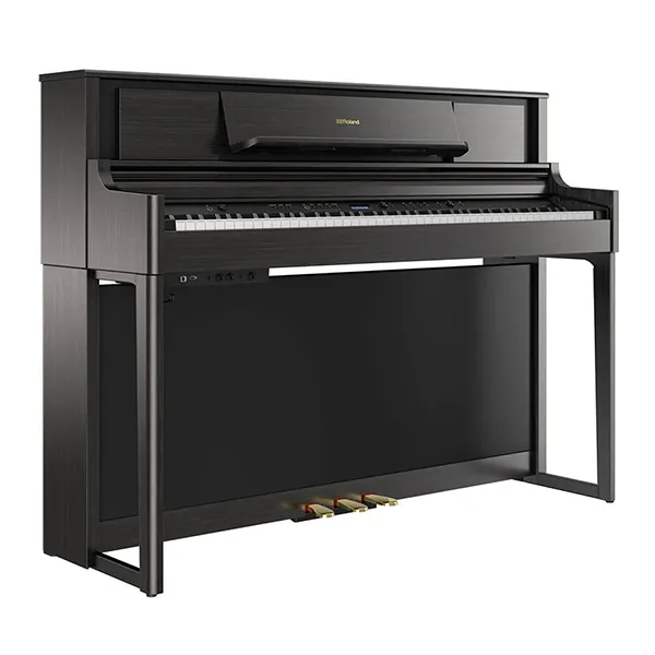 Music City – Tổng Kho Piano, Guitar, Organ | Dịch Vụ Giáo Dục Âm Nhạc