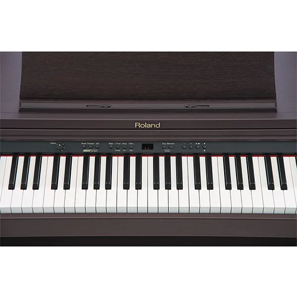Music City – Tổng Kho Piano, Guitar, Organ | Dịch Vụ Giáo Dục Âm Nhạc