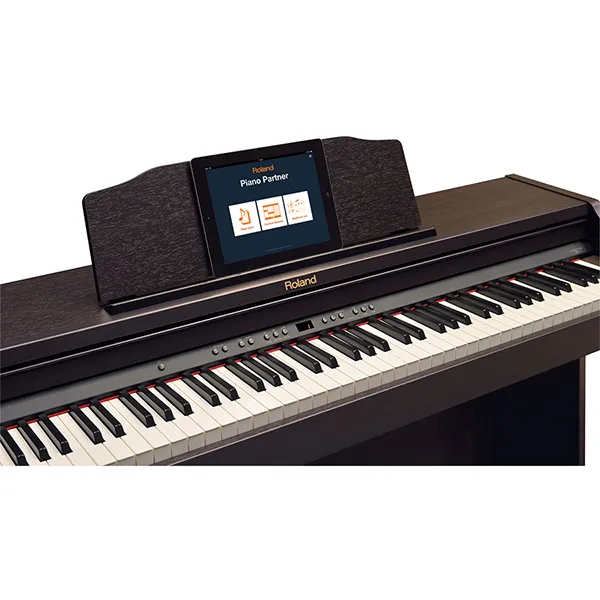 Music City – Tổng Kho Piano, Guitar, Organ | Dịch Vụ Giáo Dục Âm Nhạc