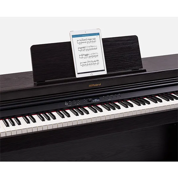 Music City – Tổng Kho Piano, Guitar, Organ | Dịch Vụ Giáo Dục Âm Nhạc