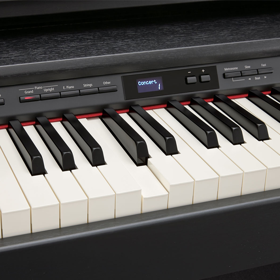 Music City – Tổng Kho Piano, Guitar, Organ | Dịch Vụ Giáo Dục Âm Nhạc