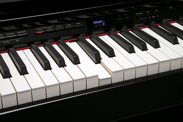 Music City – Tổng Kho Piano, Guitar, Organ | Dịch Vụ Giáo Dục Âm Nhạc