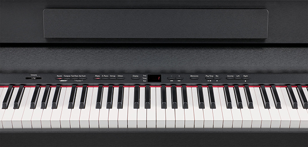 Music City – Tổng Kho Piano, Guitar, Organ | Dịch Vụ Giáo Dục Âm Nhạc