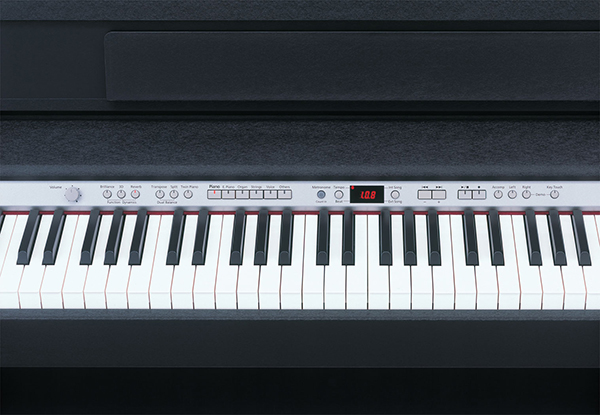 Music City – Tổng Kho Piano, Guitar, Organ | Dịch Vụ Giáo Dục Âm Nhạc