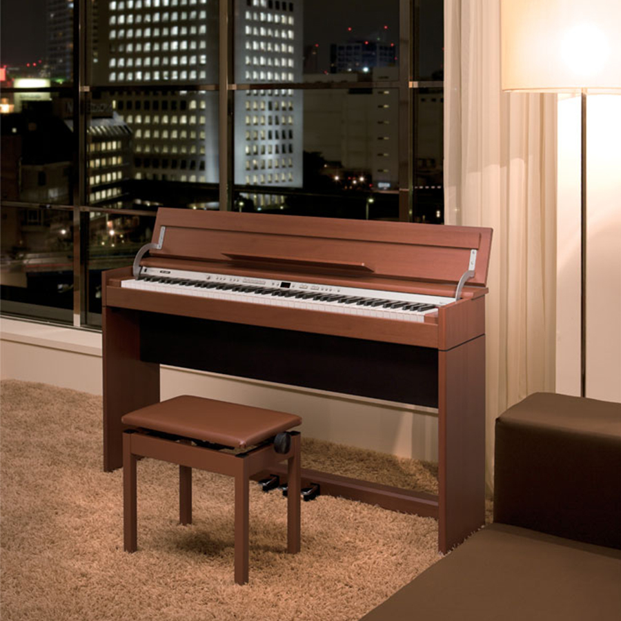 Music City – Tổng Kho Piano, Guitar, Organ | Dịch Vụ Giáo Dục Âm Nhạc