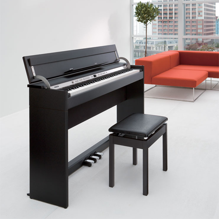 Music City – Tổng Kho Piano, Guitar, Organ | Dịch Vụ Giáo Dục Âm Nhạc