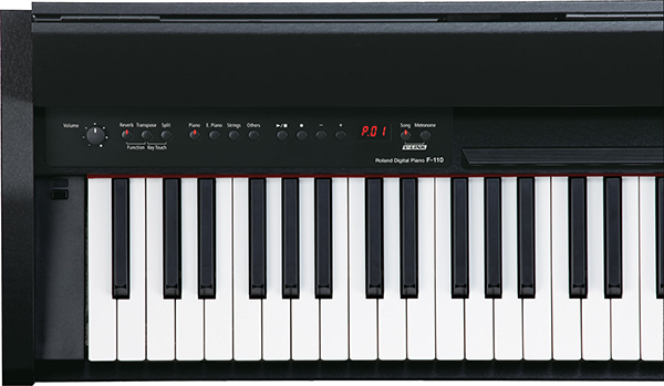 Music City – Tổng Kho Piano, Guitar, Organ | Dịch Vụ Giáo Dục Âm Nhạc