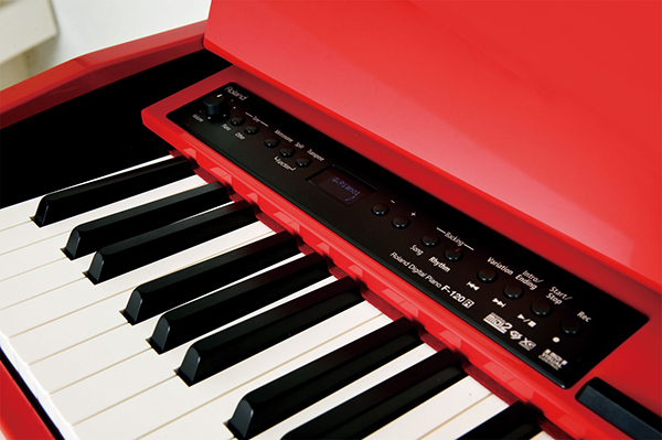 Music City – Tổng Kho Piano, Guitar, Organ | Dịch Vụ Giáo Dục Âm Nhạc