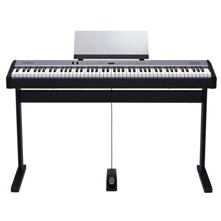Music City – Tổng Kho Piano, Guitar, Organ | Dịch Vụ Giáo Dục Âm Nhạc
