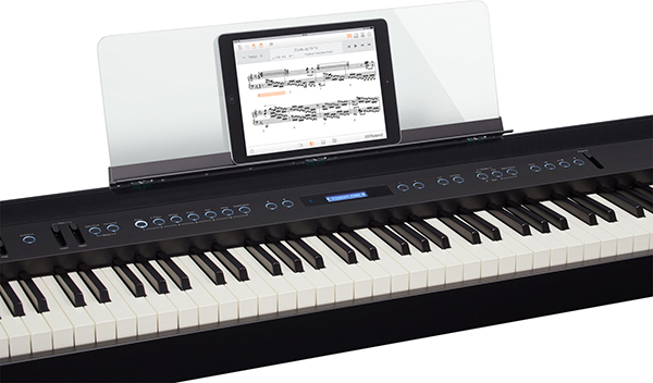 Music City – Tổng Kho Piano, Guitar, Organ | Dịch Vụ Giáo Dục Âm Nhạc