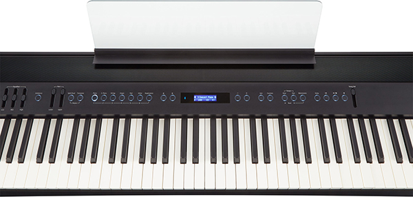 Music City – Tổng Kho Piano, Guitar, Organ | Dịch Vụ Giáo Dục Âm Nhạc