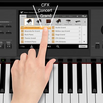 Music City – Tổng Kho Piano, Guitar, Organ | Dịch Vụ Giáo Dục Âm Nhạc