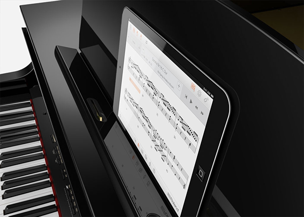 Music City – Tổng Kho Piano, Guitar, Organ | Dịch Vụ Giáo Dục Âm Nhạc