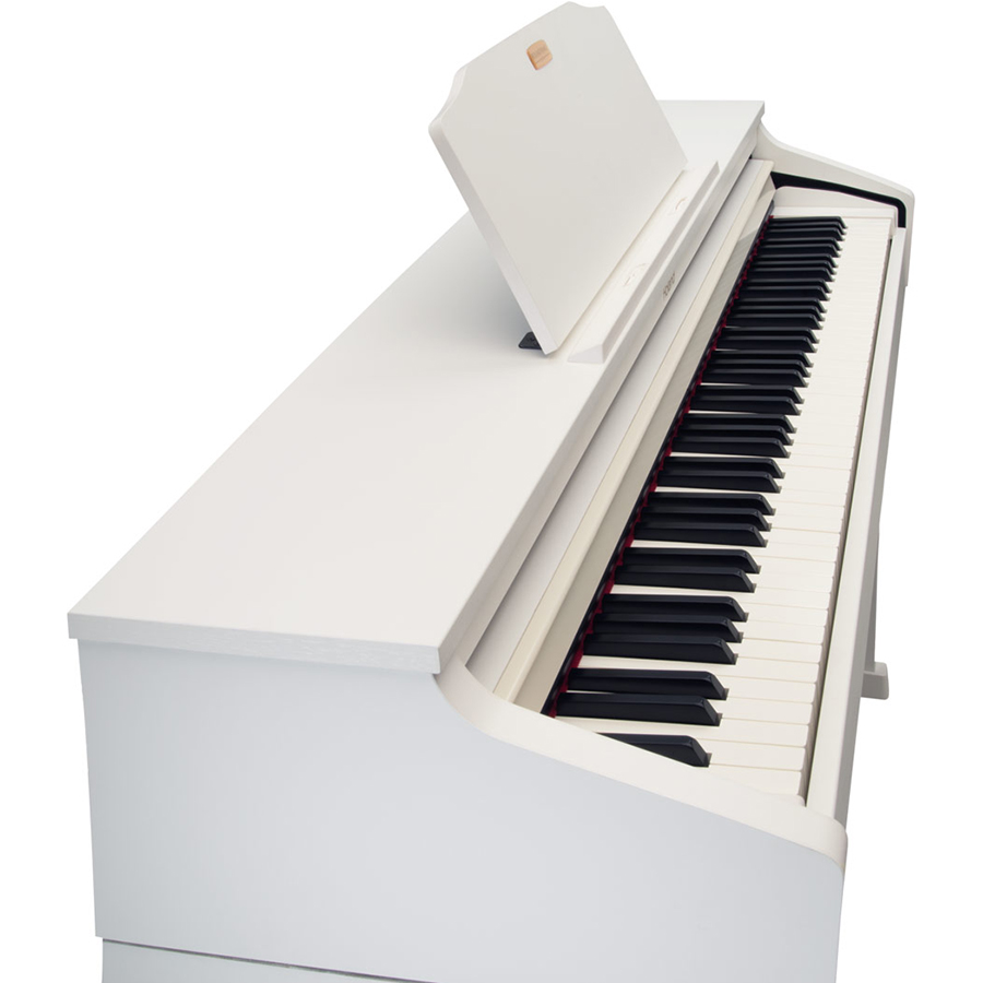 Music City – Tổng Kho Piano, Guitar, Organ | Dịch Vụ Giáo Dục Âm Nhạc