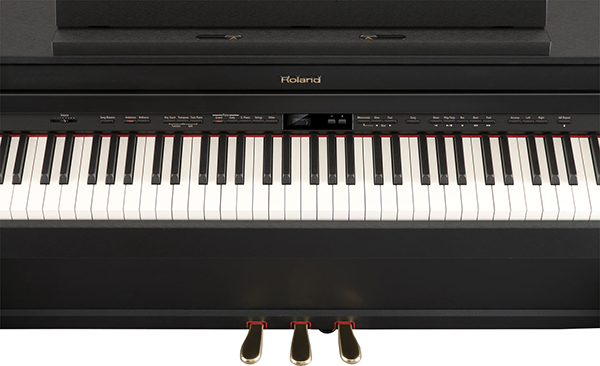 Music City – Tổng Kho Piano, Guitar, Organ | Dịch Vụ Giáo Dục Âm Nhạc